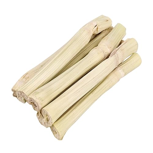 BESTonZON Kau-Spielzeug Für Kleintiere Natürlicher Holz Molar Sticks Langlebig Und Sicher Für Hamster Kaninchen Meerschweinchen Fördert Zahnpflege Und Beschäftigung BESTonZON Kau-Spielzeug Für Kleintiere Natürlicher Holz Molar Sticks Langlebig Und Sicher Für Hamster Kaninchen Meerschweinchen Fördert Zahnpflege Und Beschäftigung von BESTonZON