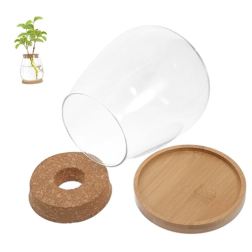 BESTonZON 1Satz Terrarium Pflanzgefäß Mit Holzdeckel Und Bambusunterlage Transparente Mikrolandschaftsflasche Für Pflanzen Und DIY Dekoration von BESTonZON