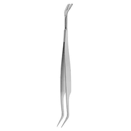 BESTonZON 1Stück Flohentfernungswerkzeug für Haustiere Flohclip zur Sicheren Entfernung von Flöhen und Läusen bei Hunden Praktische Pinzette für Effektive Pflege BESTonZON 1Stück Flohentfernungswerkzeug für Haustiere Flohclip zur Sicheren Entfernung von Flöhen und Läusen bei Hunden Praktische Pinzette für Effektive Pflege von BESTonZON