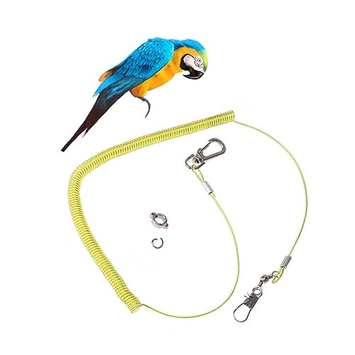 BESTonZON 1Stück Vogelleine Für Papageien Elastisches Trainingsseil Mit Claw Ring Für Sicheres Und Training Zufällig von BESTonZON