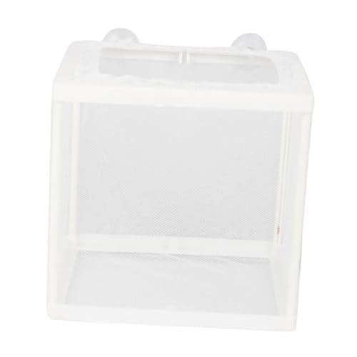 BESTonZON 2 STÜCK Kleine Fischzucht Isolierbox mit Saugnapf Aquarium Aufzuchtbecken und Laichkasten Transparentes Fischzuchtnetz Installieren Robust für Süßwasser Zufällige Zufällige Farbe von BESTonZON