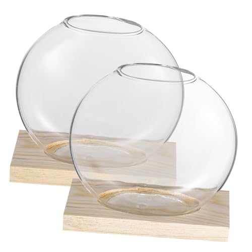 BESTonZON 2sätze Vermehrungsterrarien Glasvasen Klare Tischvase Hängende Pflanzgefäße Kleine Terrariumpflanzen Pflanzenterrarium Glaspflanzgefäße Zimmerpflanzen von BESTonZON