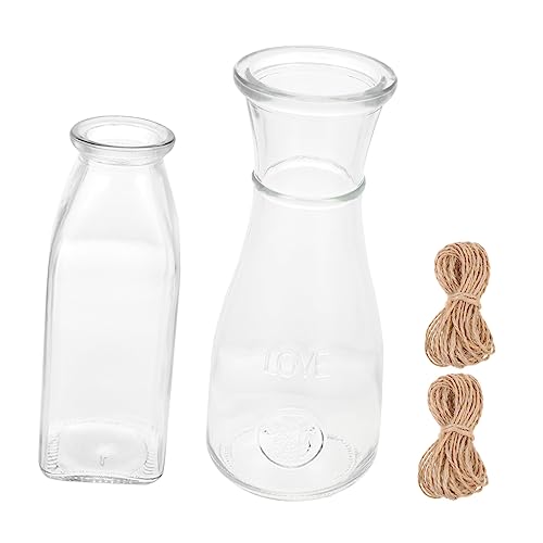 BESTonZON 2 Sätze Hydro ponische Pflanzen Flasche Vase Links hydroponischer terrariumbehälter Pflanzterrarien Hydrokultur-Töpfe Hydroponischer Pflanzer Glas Transparent von BESTonZON