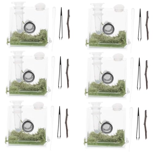 BESTonZON 2 Sätze Jumping Spider Enclosure Box aus Klarem Kunststoff Stabiles und Langlebiges Reptilien Futtergehäuse mit Belüftungslöchern Kompakt und Leicht für Kleine Spinnen und von BESTonZON