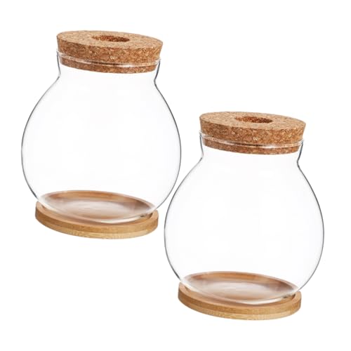 BESTonZON 2 Sets Hydroponische Glasvase Tischpflanzen Terrarium Hydroponischer Pflanztopf Glasterrarium Gläser Pflanzgefäß Wasserstation Landschaftsglasvase Hydroponische Pflanze von BESTonZON