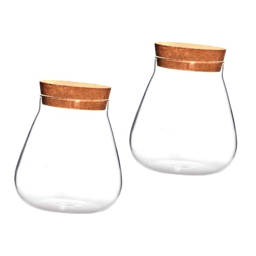 BESTonZON 2 Stück Flasche aus Korkglas Mikro-Landschaftsvase Display-Topf Mikrolandschaft Terrarium Mikro-Landschaftsglas ökologisches Glas Glasvase Vorratsflasche Holz Brown von BESTonZON