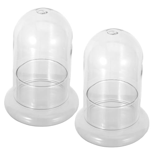 BESTonZON 2 Stück Moosflasche Hochborosilikatglas Ökologische DIY Landschaftsflasche für Terrarien und Miniaturgärten zur Dekoration von Wohnräumen BESTonZON 2 Stück Moosflasche Hochborosilikatglas Ökologische DIY Landschaftsflasche für Terrarien und Miniaturgärten zur Dekoration von Wohnräumen von BESTonZON