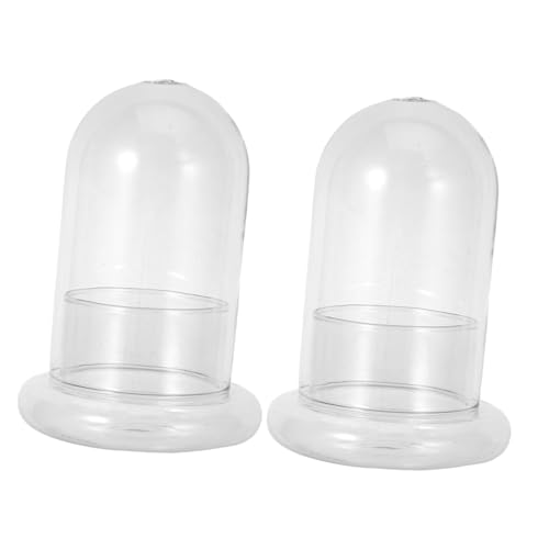 BESTonZON 2 Stück Ökologische Glasflasche mit Moos DIY Terrarium Glasbehälter für Büro Schlafzimmer Natürliche Dekoration Langlebig Robust von BESTonZON
