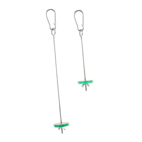 BESTonZON 2 Stück Obstgabel aus Edelstahl Obstspieße Papageien-Fruchtspieß Halter Papageienspieß drinnen Hamster welsfutter Kleintiere Bird Toys Vogel-Gemüsespieß Vogelfruchtgabel hölzern von BESTonZON