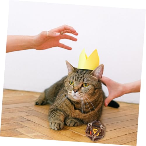 BESTonZON 2 Stück Pet Katzen Bells Ball Kauspielzeug Zahnpflege Molaren Natürlich Sicher für Welpen und Katzen Training Interaktiv von BESTonZON