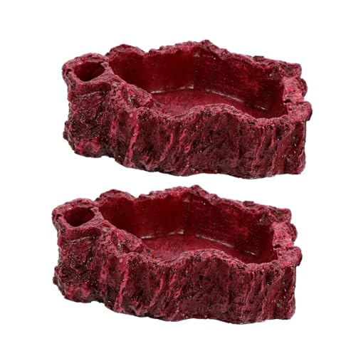BESTonZON 2 Stück Reptilien Futternapf aus Resin Wasserschale für Schildkröten Eidechsen Schlangen für Terrarium und Einfache Pflege rutschfest und Sicher für Haustiere BESTonZON 2 Stück Reptilien Futternapf aus Resin Wasserschale für Schildkröten Eidechsen Schlangen für Terrarium und Einfache Pflege rutschfest und Sicher für Haustiere von BESTonZON
