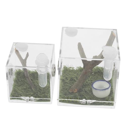 BESTonZON 2 Stück Teiliges Insekten Aufzuchtbox Transparent mit Belüftung für Springspinnen und Kleine Tiere Futterbox zur Beobachtung und Pflege von Insekten und Käfern von BESTonZON