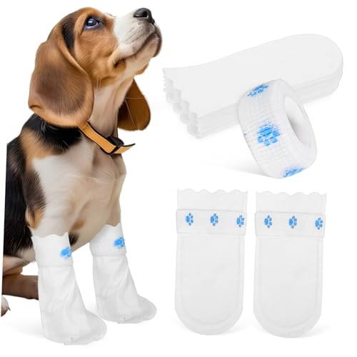 BESTonZON 20 Stück Hundestiefelüberzüge Hundestiefel &Amp; Pfotenschutz Hundestiefel Für Kleine Hunde Stiefel Für Hundepfoten Welpenstiefel Für Kleine Hunde Katzenstiefel Einweg BESTonZON 20 Stück Hundestiefelüberzüge Hundestiefel &Amp; Pfotenschutz Hundestiefel Für Kleine Hunde Stiefel Für Hundepfoten Welpenstiefel Für Kleine Hunde Katzenstiefel Einweg von BESTonZON