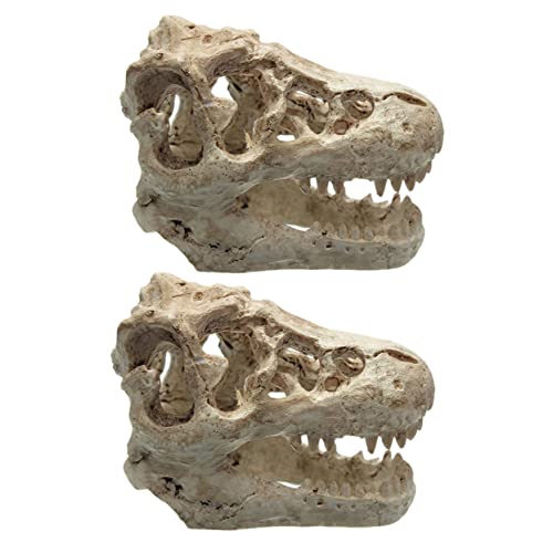 BESTonZON 2Stücke Aquariumverzierung Dinosaurierschädel Ornament Simulierte Dino Schädel Dekoration Für Fischtank Versteckgestaltung Hochwertiges Harz Für Reptilien Terrarium BESTonZON 2Stücke Aquariumverzierung Dinosaurierschädel Ornament Simulierte Dino Schädel Dekoration Für Fischtank Versteckgestaltung Hochwertiges Harz Für Reptilien Terrarium von BESTonZON