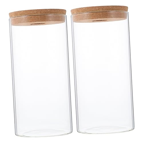 BESTonZON 2Stücke DIY Glaspflanzenbehälter Zylinderglas Flasche Für Mikrolandschaften Hochborosilikatglas Für Sukkulenten Deko Transparent von BESTonZON