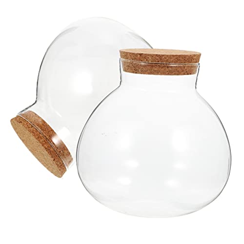 BESTonZON 2Stücke Sphärische Ökologische Glasflasche Mit Korkdeckel DIY Terrarium Glasgefäß Für Moos Und Pflanzenarrangements Für Dekoration Und Geschenkideen von BESTonZON