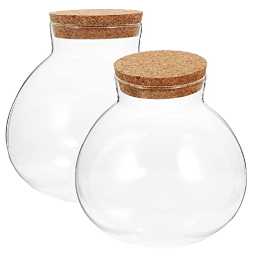 BESTonZON 2st Ökologische Mikrolandschaftsflasche Großer Pflanzer Hydroponische Glasvasen Blase Schüssel Landschaftsbehälter Glas-Terrarium-pflanzgefäß Ellipsenvase Klein Die Glühbirne Kork BESTonZON 2st Ökologische Mikrolandschaftsflasche Großer Pflanzer Hydroponische Glasvasen Blase Schüssel Landschaftsbehälter Glas-Terrarium-pflanzgefäß Ellipsenvase Klein Die Glühbirne Kork von BESTonZON