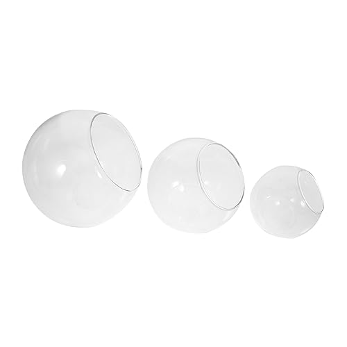 BESTonZON 3 Stück Micro Landscape DIY Glasvase Teiliges Terrarium mit Schrägem Mund für Dekorationen und Ökosysteme Jedem von BESTonZON