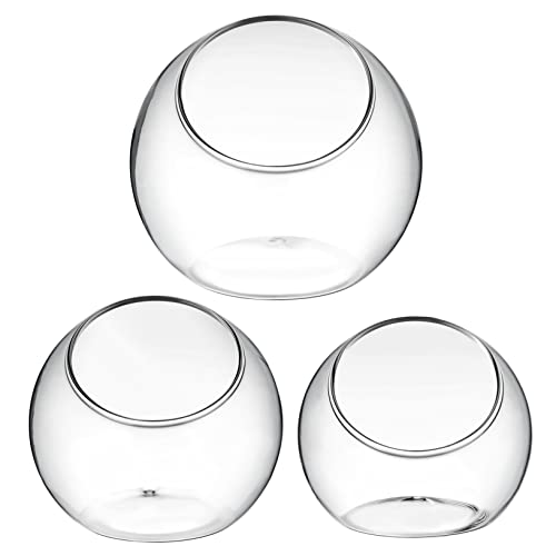 BESTonZON 3 Teiliges Terrarium mit Schräger Öffnung Transparente Pflanzschalen für Luftpflanzen und Sukkulenten Dekorative Glasvasen für Tisch Büro und von BESTonZON