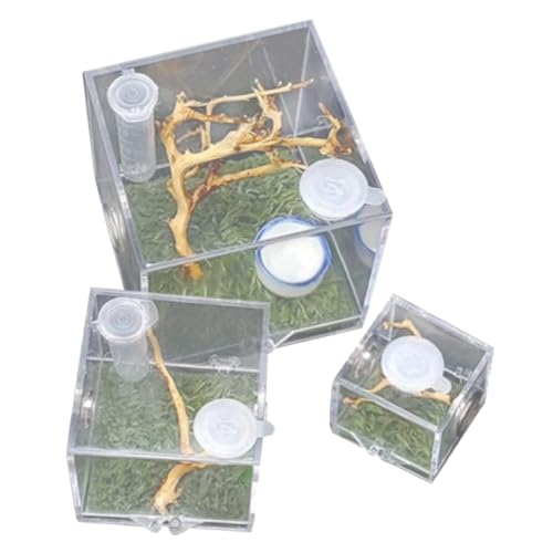 BESTonZON 3Stücke Insektenfutterkoffer für Springspinnen Brutkasten für Insekten Reptilien Aufbewahrungsbox mit Futteröffnung und Belüftungslöchern für Kleine Reptilien von BESTonZON