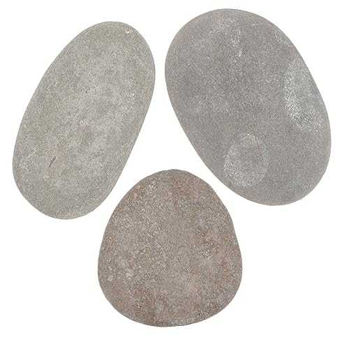 BESTonZON 3Stücke Sonnenbadeplattform für Wasserschildkröten Natürliche Dekoration für Aquarien Zufällige für Reptilien und Aquarienzubehör BESTonZON 3Stücke Sonnenbadeplattform für Wasserschildkröten Natürliche Dekoration für Aquarien Zufällige für Reptilien und Aquarienzubehör von BESTonZON
