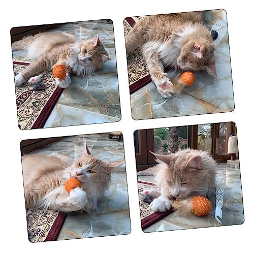 BESTonZON 4Stücke Katzenspielzeug Teilig Buntem Ball Interaktives Für Katzen Bewegung Und Kratzverhalten Zufällige BESTonZON 4Stücke Katzenspielzeug Teilig Buntem Ball Interaktives Für Katzen Bewegung Und Kratzverhalten Zufällige von BESTonZON