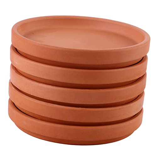 BESTonZON 5 Stück Blumentopfmatte Untersetzer Für Blumentöpfe Aus Terrakotta Pflanzgefäße Für Zimmerpflanzen Pflanzenschale Untertasse Abtropfschale Für Pflanzenuntersetzer Tablett Mit Basen BESTonZON 5 Stück Blumentopfmatte Untersetzer Für Blumentöpfe Aus Terrakotta Pflanzgefäße Für Zimmerpflanzen Pflanzenschale Untertasse Abtropfschale Für Pflanzenuntersetzer Tablett Mit Basen von BESTonZON