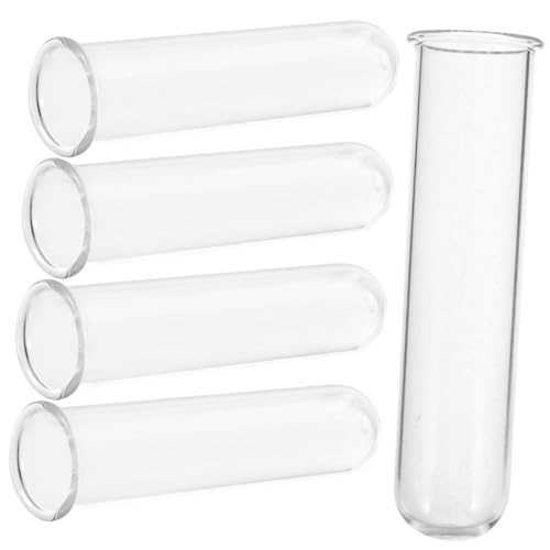 BESTonZON 5 Stück Teiliges Propagationstuben Transparent Kleine Hydroponische Pflanzvase aus für Stecklinge und Terrarien Platzsparende Blumentube für Zimmerpflanzen und Moos Langlebige von BESTonZON