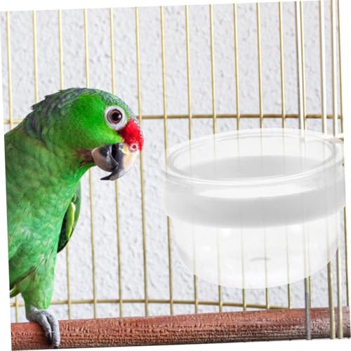 BESTonZON 5 Stück Transparente Abnehmbare Futternäpfe für Papageien mit Aufhängung Kunststoff Futter Wasserschalen für Vogelkäfig Leicht zu Reinigen und Einfach zu Wiederverwendbar von BESTonZON