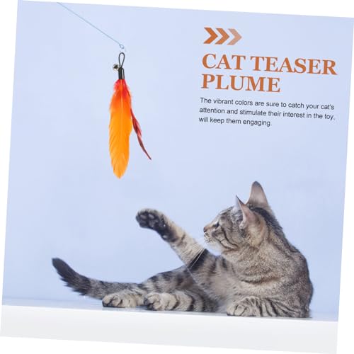 BESTonZON 6 Stück Teiliges Katzenspielzeug Federn Ersatzset Leichte Langlebige und Sichere Nachfüllfedern für Katzenangel Interaktives zur Beschäftigung und Training von Katzen und Kätzchen BESTonZON 6 Stück Teiliges Katzenspielzeug Federn Ersatzset Leichte Langlebige und Sichere Nachfüllfedern für Katzenangel Interaktives zur Beschäftigung und Training von Katzen und Kätzchen von BESTonZON