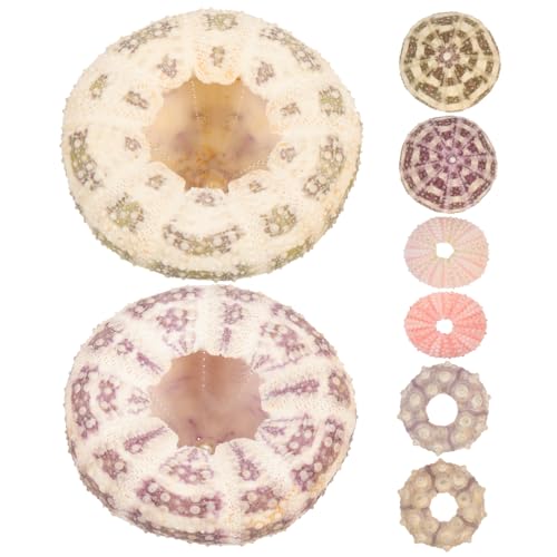 BESTonZON 6Stücke DIY Seeigelschalen Handgefertigte Deko Töpfe für Fischtanks und Zufällige Farben Lebensnahe Aquarien Dekoration für Luftpflanzen und Kreative BESTonZON 6Stücke DIY Seeigelschalen Handgefertigte Deko Töpfe für Fischtanks und Zufällige Farben Lebensnahe Aquarien Dekoration für Luftpflanzen und Kreative von BESTonZON