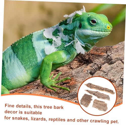 BESTonZON 8 Stück Teiliges Reptilien Terrarium Korkrinde Natürliche Terrarium Deko Mittelgroße Korkstücke Langlebig Sicher für Aquarium Schildkröten und Reptilienbox Lebensechter von BESTonZON