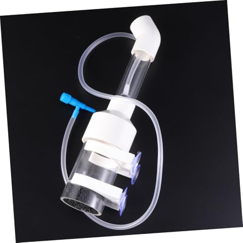 BESTonZON Aquarium Fischlaichkasten Tumbler Inkubator für Fischlaich ohne Chemie Sanfte Drehung Verhindert für Zierfische und Aufzucht Zufällige Farbe Zufällige Farbe BESTonZON Aquarium Fischlaichkasten Tumbler Inkubator für Fischlaich ohne Chemie Sanfte Drehung Verhindert für Zierfische und Aufzucht Zufällige Farbe Zufällige Farbe von BESTonZON
