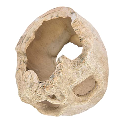 BESTonZON Aquarium Resin Skull Versteck Höhle Reptilienhaus Fischtank Ornament aus Robustem Harz Deko mit Unterschlupf für Fische und Garnelen Naturgetreu Gestaltete Terrarienhöhle BESTonZON Aquarium Resin Skull Versteck Höhle Reptilienhaus Fischtank Ornament aus Robustem Harz Deko mit Unterschlupf für Fische und Garnelen Naturgetreu Gestaltete Terrarienhöhle von BESTonZON