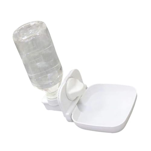 BESTonZON Automatischer Wasserspender für Haustiere Trinkbrunnen für Kaninchen Meerschweinchen und Chinchillas Auslaufsicher und Leicht zu Reinigen Sicheres Plastikmaterial Optimale BESTonZON Automatischer Wasserspender für Haustiere Trinkbrunnen für Kaninchen Meerschweinchen und Chinchillas Auslaufsicher und Leicht zu Reinigen Sicheres Plastikmaterial Optimale von BESTonZON