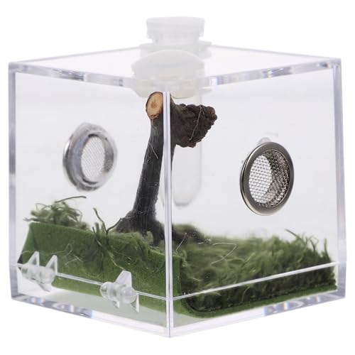 BESTonZON Box Springspinnen Zuchtbox Spinnenfütterung Terrarium Habitat Case Vogelspinnenträger Springspinnen Terrarium Vogelspinnengehege Reptilienzuchtbehälter Heimtierbedarf Acryl von BESTonZON