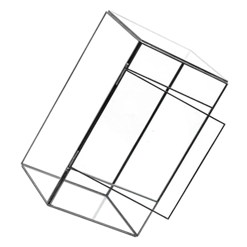 BESTonZON DIY Terrarium Glasbehälter für Pflanzen und Handgefertigter Tischdeko Container Transparent für Mikrolandschaften und Aufbewahrung für Innen BESTonZON DIY Terrarium Glasbehälter für Pflanzen und Handgefertigter Tischdeko Container Transparent für Mikrolandschaften und Aufbewahrung für Innen von BESTonZON