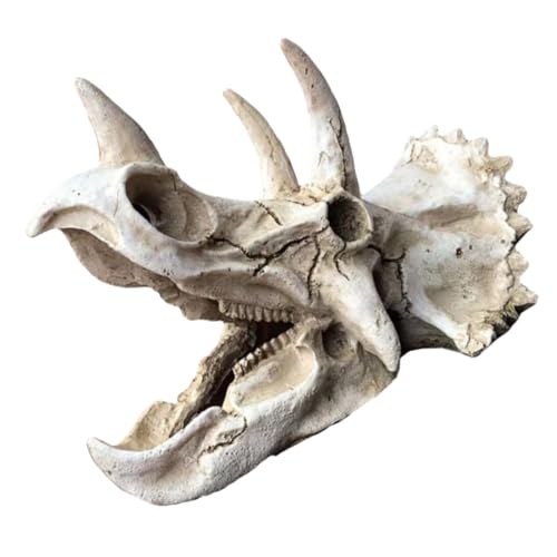 BESTonZON Dinosaurier Schädel Dekoration für Aquarium Versteck aus Langlebigem Harz für Garnelen und Betta für Natürliche Unterwasserlandschaften BESTonZON Dinosaurier Schädel Dekoration für Aquarium Versteck aus Langlebigem Harz für Garnelen und Betta für Natürliche Unterwasserlandschaften von BESTonZON