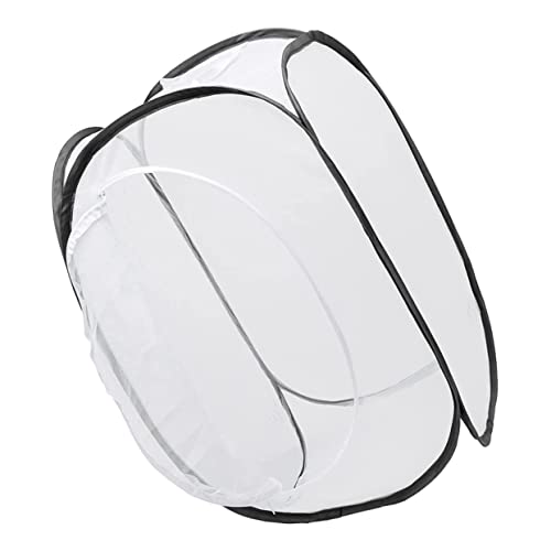 BESTonZON Faltbarer Käfig Schmetterling Insektenkäfig für Kinder partyhüte Kindergeburtstag partytüten Kindergeburtstag Terrarium Container atmungsaktiver Käfig Maschennetz Schutznetz Glas von BESTonZON