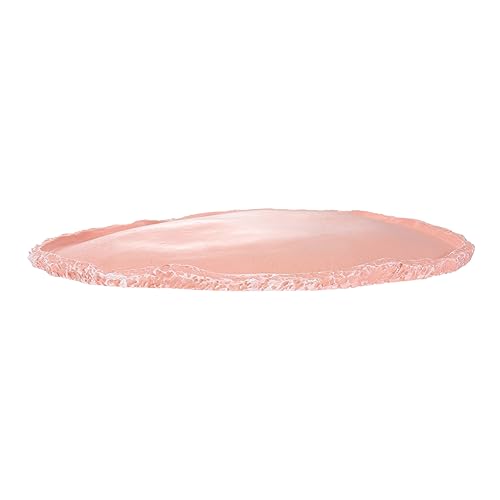 BESTonZON Fütterungsplatte Für Haustiere Reptilien Futter Und Wasserschale Aus Resin Für Schildkröten Eidechsen Und Schlangen Vivarium Zubehör Für Terrarien von BESTonZON