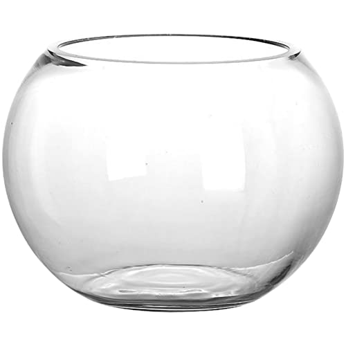 BESTonZON Glas Fischschale Mini Aquarium Rund Glas Fisch Tank Fischglas Klare Vase Blumentopf Pflanze Terrarium Glasball für Zuhause Garten Büro Wohnzimmer Dekoration von BESTonZON