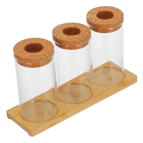 BESTonZON Glas Pflanzenhaltern Hydroponische Vermehrungsvase Mini Landschafts Terrarium Schreibtischdekoration für Indoor Pflanzenzucht und Ökoflasche von BESTonZON