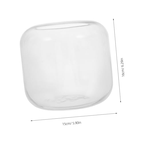 BESTonZON Glas Terrarium Vase für Hydroponik Pflanzen Transparent Mini Landschaft Flaschengarten Pflanzgefäß Für Büro Wohnzimmer Dekoration Multifunktional Fish Tank Alternative von BESTonZON