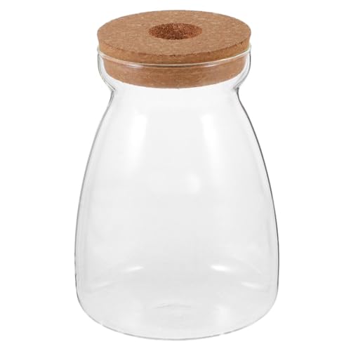 BESTonZON Glas Terrarium mit Holzdeckel Rundes Mini landschaftsgefäß Dekorativer Pflanzbehälter für Sukkulenten Hydroponik Station für Büro Wohnraumdekoration Korkverschluss von BESTonZON