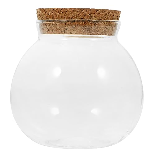 BESTonZON Hydroponisches Terrarium Deckel Klare Pflanzenvase Für Moos Und Dekoration Für Pflanzenliebhaber Und Kreative Tischdeko von BESTonZON