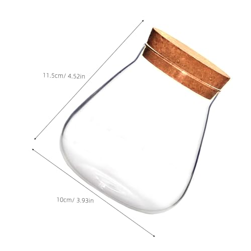 BESTonZON Glasflasche mit Korkverschluss Transparentes Mikro landschaftsterrarium DIY Kunsthandwerk Flaschengarten für Kleine Pflanzen Süßigkeitenbehälter Langlebiges Glasdekor Vielseitig BESTonZON Glasflasche mit Korkverschluss Transparentes Mikro landschaftsterrarium DIY Kunsthandwerk Flaschengarten für Kleine Pflanzen Süßigkeitenbehälter Langlebiges Glasdekor Vielseitig von BESTonZON