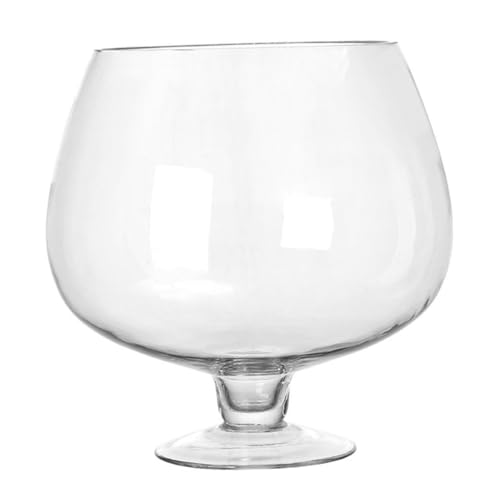 BESTonZON Goldfischglas Vase Aquarium Fisch Büro Aquarium Dekoratives Aquarium Tischaquarium Aquarien Aquarium Terrarium Fischglasform Pflanzenaquarium Tischaquarium Betta Aquarium BESTonZON Goldfischglas Vase Aquarium Fisch Büro Aquarium Dekoratives Aquarium Tischaquarium Aquarien Aquarium Terrarium Fischglasform Pflanzenaquarium Tischaquarium Betta Aquarium von BESTonZON