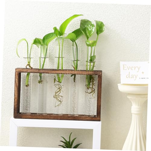 BESTonZON Hängende Pflanzen Propagationsstation mit Glas Reagenzgläsern Holzständer samt Reinigungsbürsten und Selbstklebenden Nägeln Klarsichtige Anzuchtgefäße für Zimmerpflanzen und BESTonZON Hängende Pflanzen Propagationsstation mit Glas Reagenzgläsern Holzständer samt Reinigungsbürsten und Selbstklebenden Nägeln Klarsichtige Anzuchtgefäße für Zimmerpflanzen und von BESTonZON