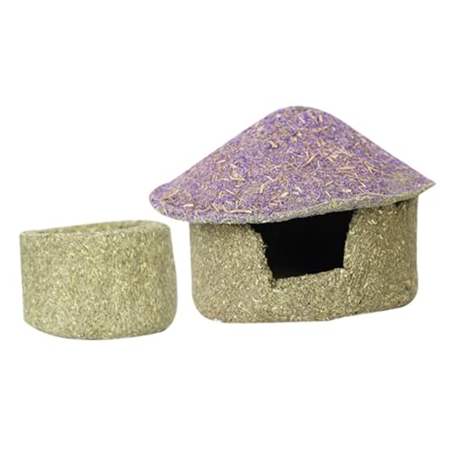 BESTonZON Hamster Versteck Haus mit Futterstation Teiliges Kleines Nagetier Unterschlupf für Hamster Gerbil und Meerschweinchen Robustes Material Leicht zu Reinigen Gemütliches Nest BESTonZON Hamster Versteck Haus mit Futterstation Teiliges Kleines Nagetier Unterschlupf für Hamster Gerbil und Meerschweinchen Robustes Material Leicht zu Reinigen Gemütliches Nest von BESTonZON