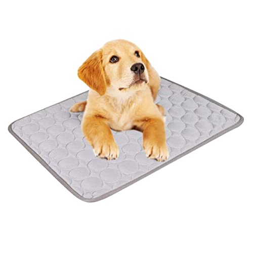 BESTonZON Haustier Kühlmatte Xs für Katzen wasserdichte Selbstkühlende Matte Schlafunterlage für Heiße Sommertage um Schnell Abzuleiten BESTonZON Haustier Kühlmatte Xs für Katzen wasserdichte Selbstkühlende Matte Schlafunterlage für Heiße Sommertage um Schnell Abzuleiten von BESTonZON